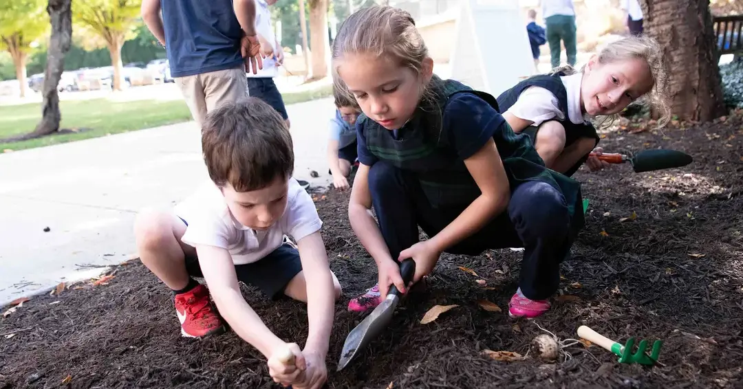 Students particiapting in service learning