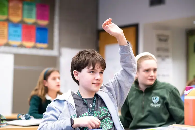 Student raising hand in class