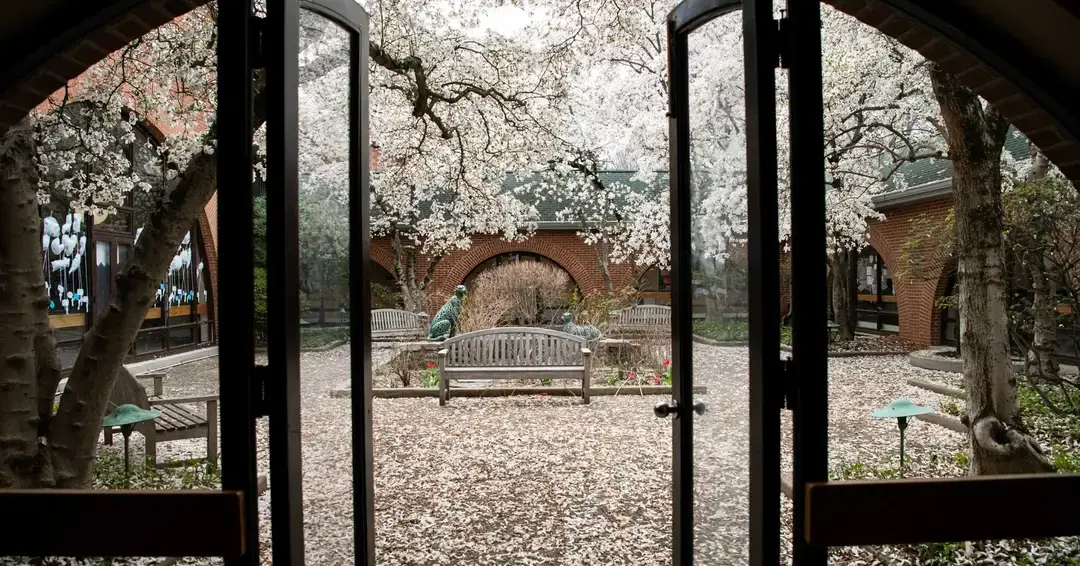 Outdoor quiet place to sit