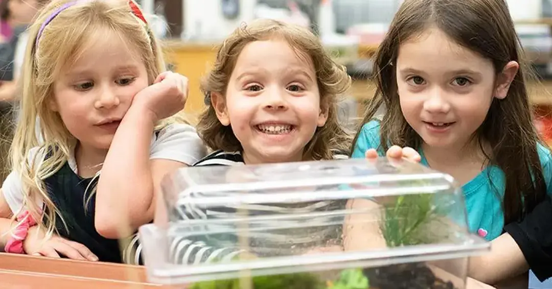 Lower school students in class