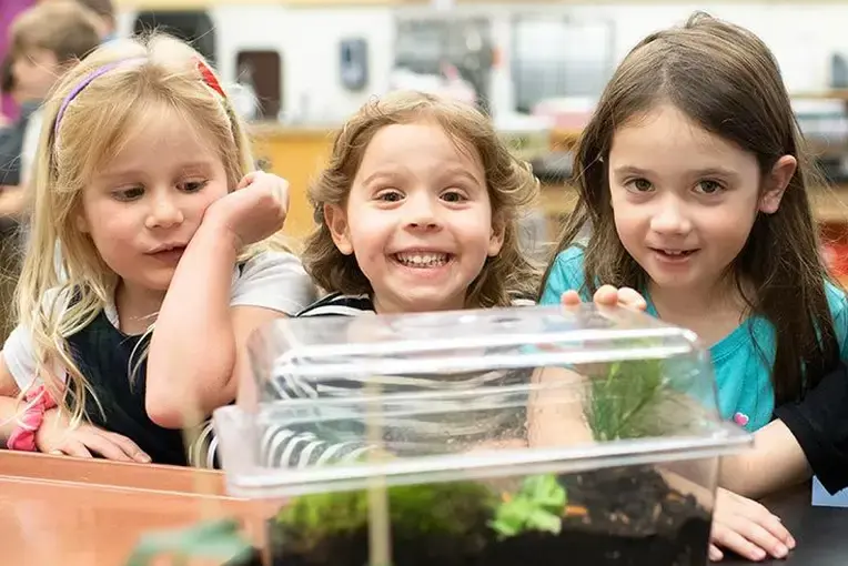 Students studying terrarium