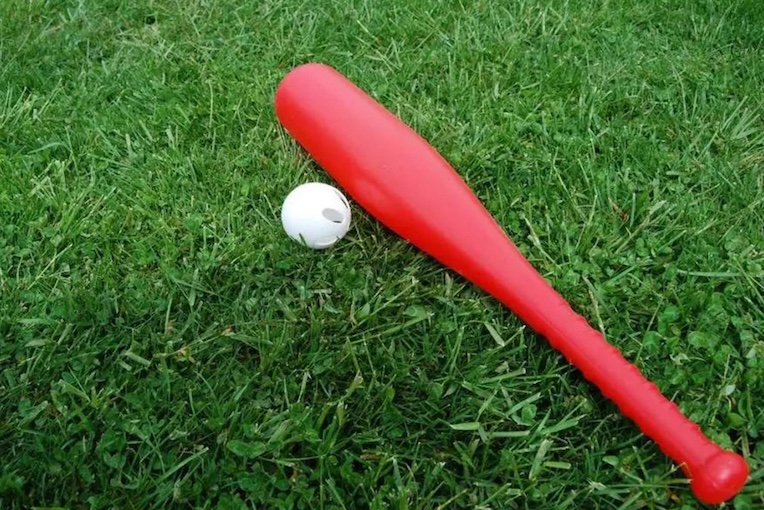 a wiffle ball bat and ball in the grass